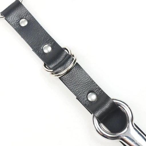 Collar Hook 5853 Leash with EverydayUse Anal Kinky and 0203